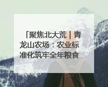 聚焦北大荒|青龙山农场:农业标准化筑牢全年粮食安全根基