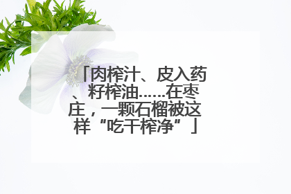 肉榨汁、皮入药、籽榨油……在枣庄，一颗石榴被这样“吃干榨净”
