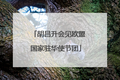 胡昌升会见欧盟国家驻华使节团