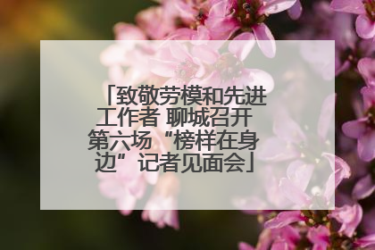 致敬劳模和先进工作者 聊城召开第六场“榜样在身边”记者见面会