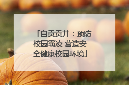 自贡贡井：预防校园霸凌 营造安全健康校园环境