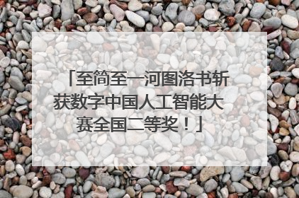至简至一河图洛书斩获数字中国人工智能大赛全国二等奖！