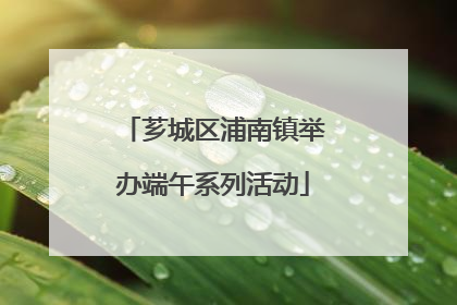 芗城区浦南镇举办端午系列活动