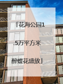 花海公园1.5万平方米醉蝶花盛放
