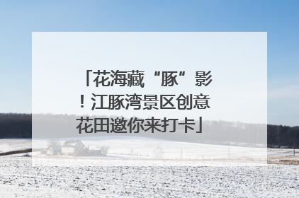 花海藏“豚”影！江豚湾景区创意花田邀你来打卡