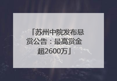 苏州中院发布悬赏公告：最高赏金超2600万