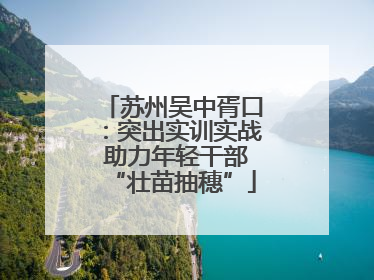 苏州吴中胥口：突出实训实战 助力年轻干部“壮苗抽穗”