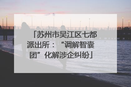 苏州市吴江区七都派出所：“调解智囊团”化解涉企纠纷