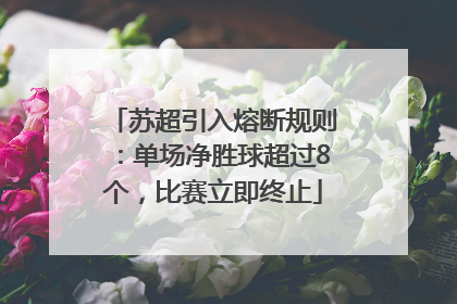 苏超引入熔断规则：单场净胜球超过8个，比赛立即终止