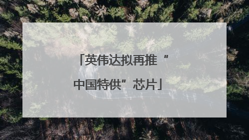 英伟达拟再推“中国特供”芯片
