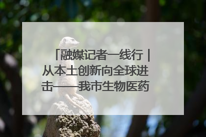 融媒记者一线行｜从本土创新向全球进击——我市生物医药产业破茧突围