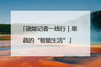 融媒记者一线行｜果蔬的“智能生活”