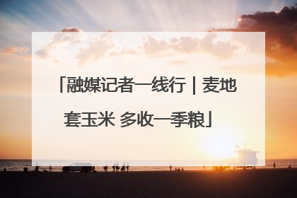 融媒记者一线行｜麦地套玉米 多收一季粮