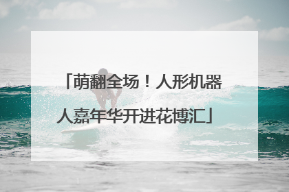 萌翻全场！人形机器人嘉年华开进花博汇