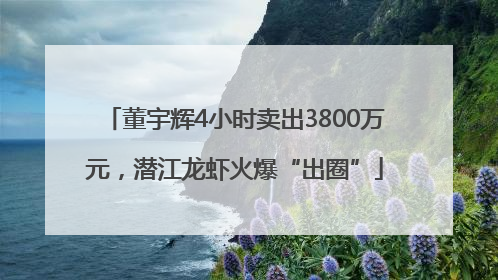 董宇辉4小时卖出3800万元，潜江龙虾火爆“出圈”