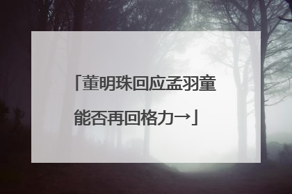 董明珠回应孟羽童能否再回格力→