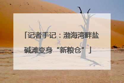记者手记：渤海湾畔盐碱滩变身“新粮仓”