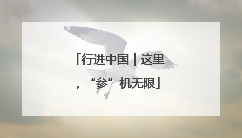 行进中国｜这里，“参”机无限