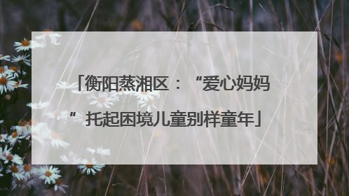 衡阳蒸湘区：“爱心妈妈”托起困境儿童别样童年