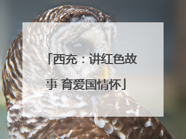西充：讲红色故事 育爱国情怀