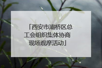 西安市灞桥区总工会组织集体协商现场观摩活动