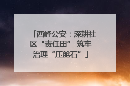 西峰公安：深耕社区“责任田” 筑牢治理“压舱石”