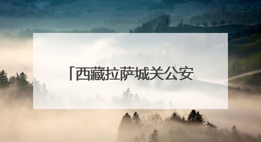 西藏拉萨城关公安分局：用警营“幸福指数”带动提升队伍“战力指数”