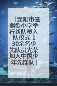 襄阳市磁器街小学举行新队员入队仪式 130余名少先队员光荣加入中国少年先锋队
