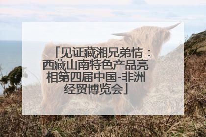 见证藏湘兄弟情：西藏山南特色产品亮相第四届中国-非洲经贸博览会