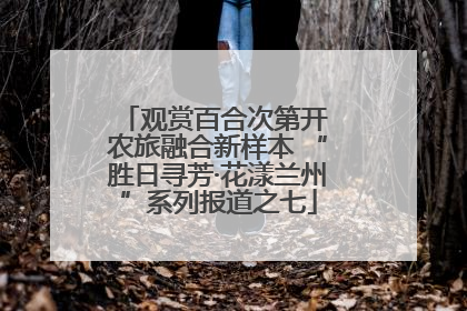 观赏百合次第开 农旅融合新样本 “胜日寻芳·花漾兰州”系列报道之七