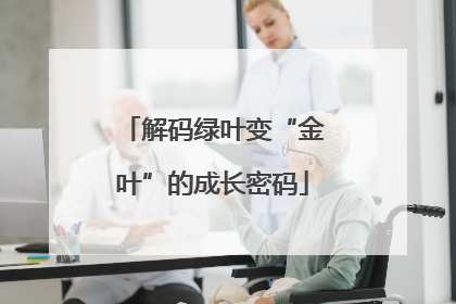 解码绿叶变“金叶”的成长密码