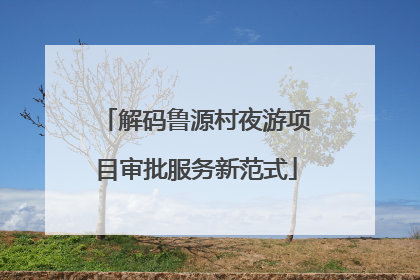 解码鲁源村夜游项目审批服务新范式