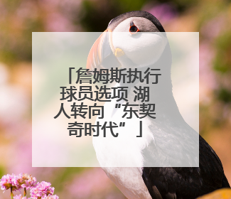 詹姆斯执行球员选项 湖人转向“东契奇时代”