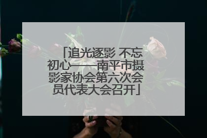 追光逐影 不忘初心——南平市摄影家协会第六次会员代表大会召开
