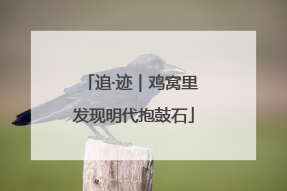 追·迹｜鸡窝里发现明代抱鼓石
