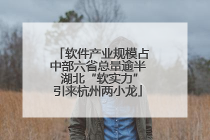 软件产业规模占中部六省总量逾半 湖北“软实力”引来杭州两小龙