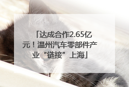 达成合作2.65亿元！温州汽车零部件产业“链接”上海