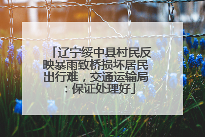辽宁绥中县村民反映暴雨致桥损坏居民出行难，交通运输局：保证处理好