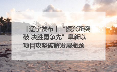 辽宁发布｜“振兴新突破 决胜勇争先”阜新以项目攻坚破解发展瓶颈 经济发展实现良好开局
