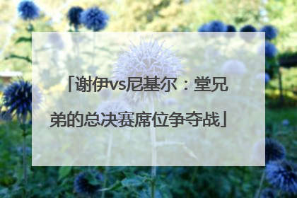 谢伊vs尼基尔：堂兄弟的总决赛席位争夺战
