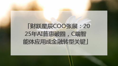 财跃星辰COO张展：2025年AI普惠破圈，C端智能体应用成金融转型关键