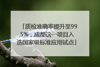 质检准确率提升至99.5%，成都这一项目入选国家级标准应用试点