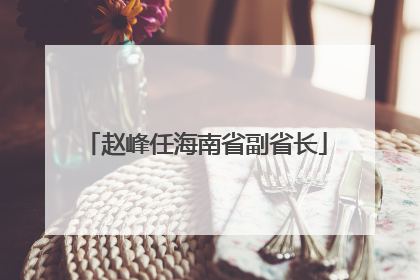 赵峰任海南省副省长