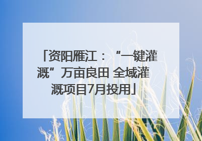 资阳雁江：“一键灌溉”万亩良田 全域灌溉项目7月投用