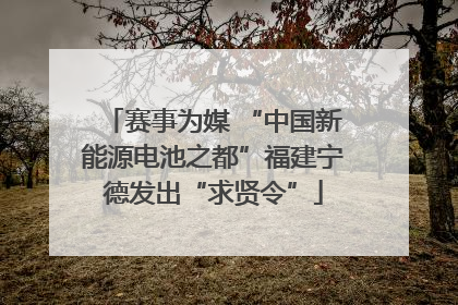 赛事为媒 “中国新能源电池之都”福建宁德发出“求贤令”