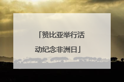 赞比亚举行活动纪念非洲日