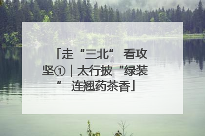 走“三北” 看攻坚①｜太行披“绿装” 连翘药茶香
