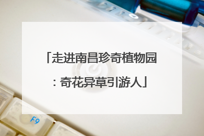 走进南昌珍奇植物园：奇花异草引游人