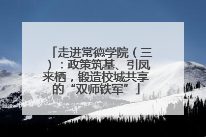 走进常德学院（三）：政策筑基、引凤来栖，锻造校城共享的“双师铁军”