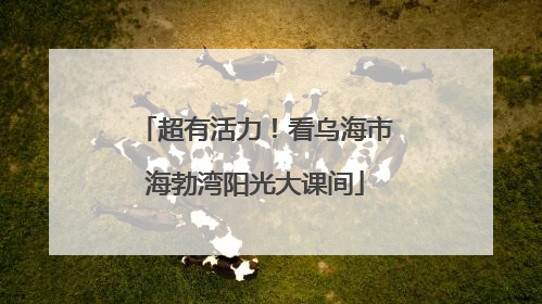 超有活力！看乌海市海勃湾阳光大课间